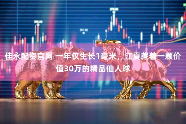 佳永配资官网 一年仅生长1毫米，江夏藏着一颗价值30万的精品仙人球