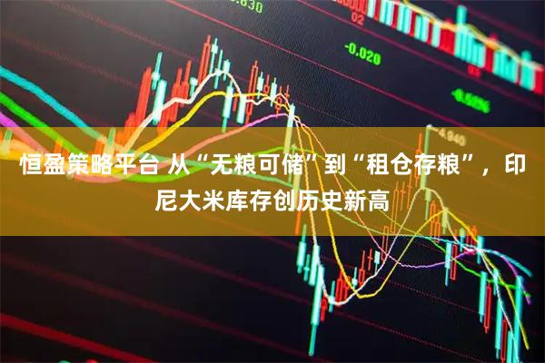 恒盈策略平台 从“无粮可储”到“租仓存粮”，印尼大米库存创历史新高