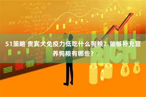 51策略 贵宾犬免疫力低吃什么狗粮？能够补充营养狗粮有哪些？